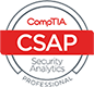 Cyber Security Analytics Professional